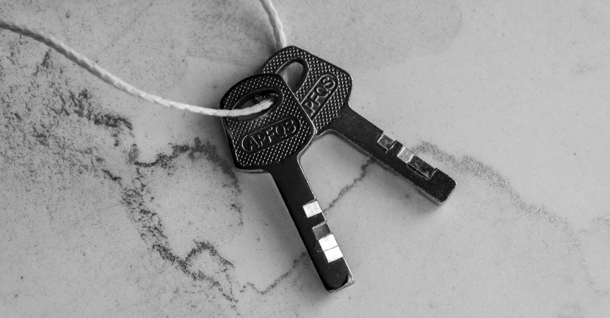 High-Security Car Keys: OEM and Aftermarket Options Explained — Woodhaven Locksmiths
